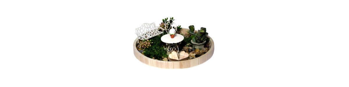 Mini Gardening - Mini Gärten
Schön gepflanzte...