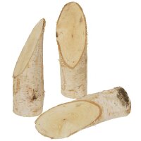 Baumstämmchen Birken, 5er Set