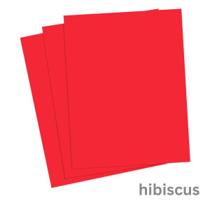 Fotokarton hibiskus, DIN A4, 50 Blatt, 300 g/qm