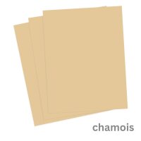 Tonkarton DIN A4 1 Blatt chamois 220 g/qm