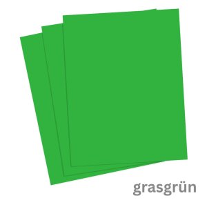 Fotokarton, grasgr&uuml;n, DIN A4, 50 Blatt, 300 g/qm