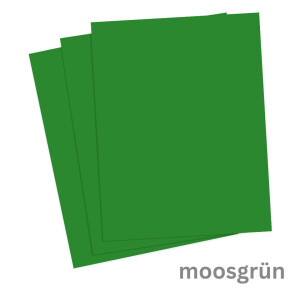 Tonkarton DIN A4 1 Blatt moosgr&uuml;n 220 g/qm