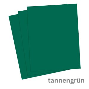 Tonkarton DIN A4 100 Blatt tannengr&uuml;n 220 g/qm