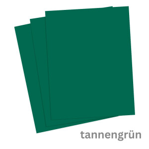 Tonkarton DIN A4 1 Blatt tannengr&uuml;n 220 g/qm
