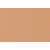 Moosgummi Platte 10er-Set  hellbeige