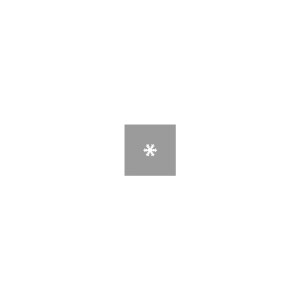 Motivstanzer: Schneeflocke, 1,6cm &oslash;, (5/8), SB-Blister 1St&uuml;ck