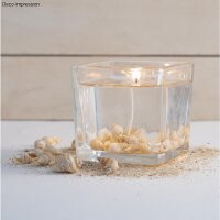Posthorn-Muscheln, in Perlmuttschale