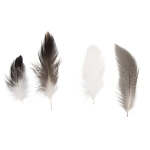 Federmischung, Pepita, 7-9 cm, SB-Btl. 10 g