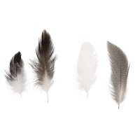 Federmischung, Pepita, 7-9 cm, SB-Btl. 10 g