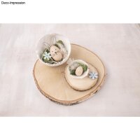 Deko-Feder Zebramuster, 8-12cm, SB-Btl 6Stück