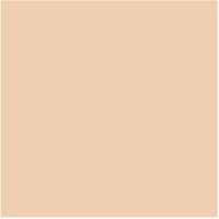 Fotokarton hellbeige, DIN A4, 1 Blatt, 300 g/qm