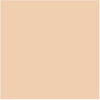 Fotokarton hellbeige, DIN A4, 1 Blatt, 300 g/qm