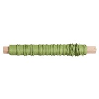 Papierdraht, 0,55mm ø, auf Holzwickel á 50g, SB-Btl 20m, hausergrün hell