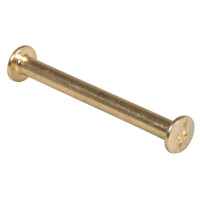 Metallstift mit Schraube, 5,2cm, SB-Btl 4Stück, gold