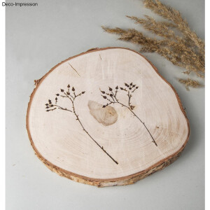 Birkenscheibe, 29-32cm &oslash;, St&auml;rke 2,5cm