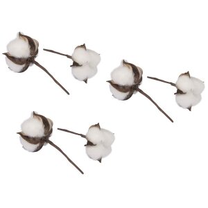 Baumwollbl&uuml;ten, 6cm &oslash;, 10cm, PVC-Box 6St&uuml;ck