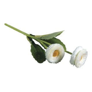 Maßliebchen Pick, 23cm, 2 Blüten, weiß