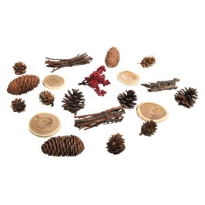 Naturmix mit Zapfen, sortiert, 2-6cm, SB-Btl 20Stück