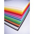 Fotokarton, 50 x 70 cm, 100 Bogen in 50 Farben sort.