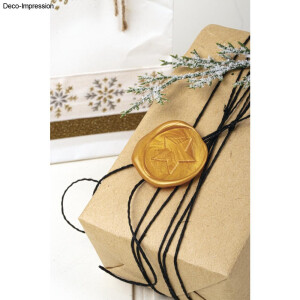 Siegel Set Stern, 2,5cm &oslash;, 1xStempel, 1 Wachs &agrave; 12g, SB-Box 1Set, gold