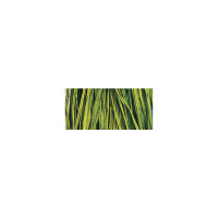 Naturbast, Bündel 25 g, maigrün
