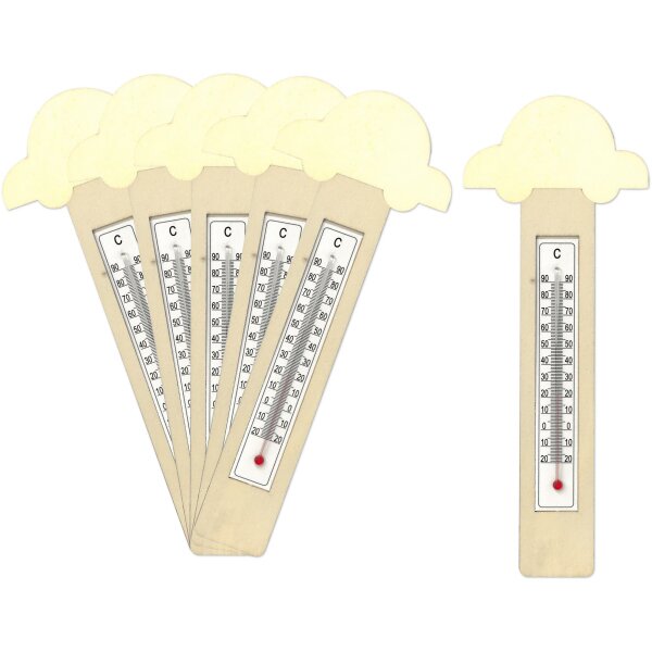 DIY Thermometer Autos, 6er Set