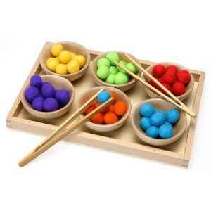 AUS ! Sortiertablett inkl. 6 Schalen und 2 Pinzetten