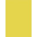 Laternenzuschnitte gelb, 12 x 16 cm, 20 Stück