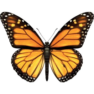 Bügelbild Schmetterling gestickt für...