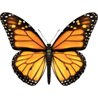 Bügelbild Schmetterling gestickt für Schultüten