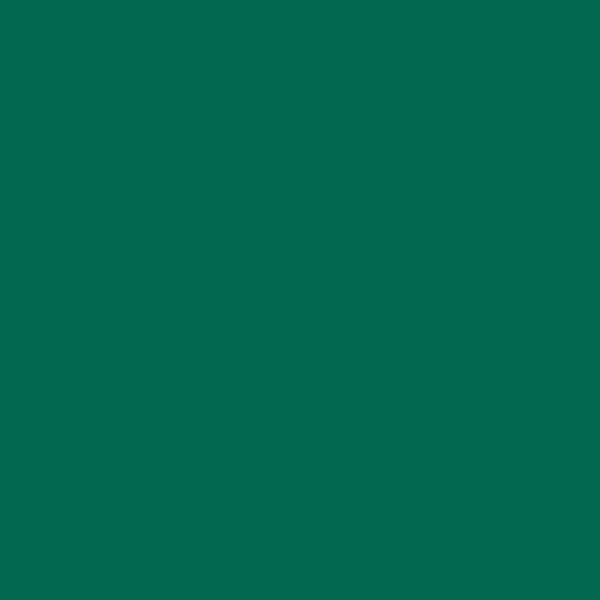 Tonzeichenpapier, tannengrün DIN A4, 1 Blatt, 130 g/qm