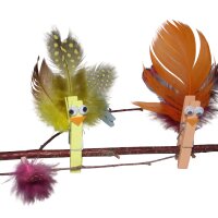S c h m u c k f e d e r n   -   M i x ,   1 0   g, 180-200 Stück, versch. farbig sort.