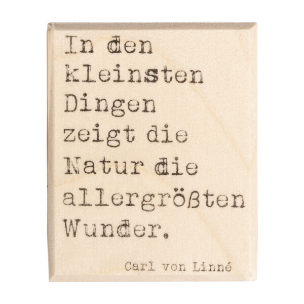 Stempel Naturwunder, 4x5cm