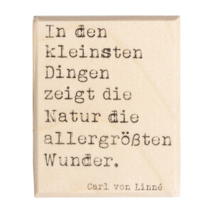 Stempel Naturwunder, 4x5cm