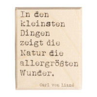 Stempel Naturwunder, 4x5cm