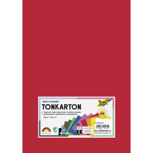 Tonkarton DIN A4 180 g/m², 300 Blatt in 12 Farben...