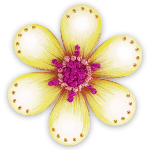 Blume