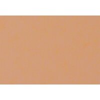 hellbeige
