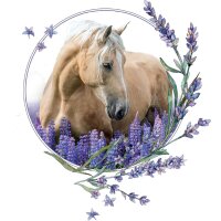 Pferd